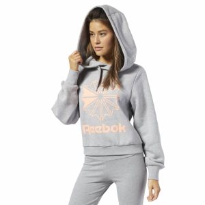 Bluza Z Kapturem Damskie Reebok Classic Big Logo Fleece Szare PL 50FSAOB